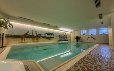 Exklusives Anwesen mit großem Wellnessbereich in ruhiger Lage von Niedernhall